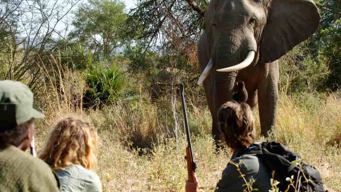 Chongwe River Camp, Lower Zambezi Sambia