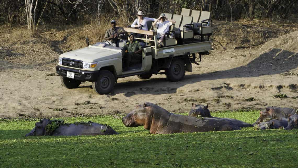 Flatdogs Camp, Lower Zambezi Sambia