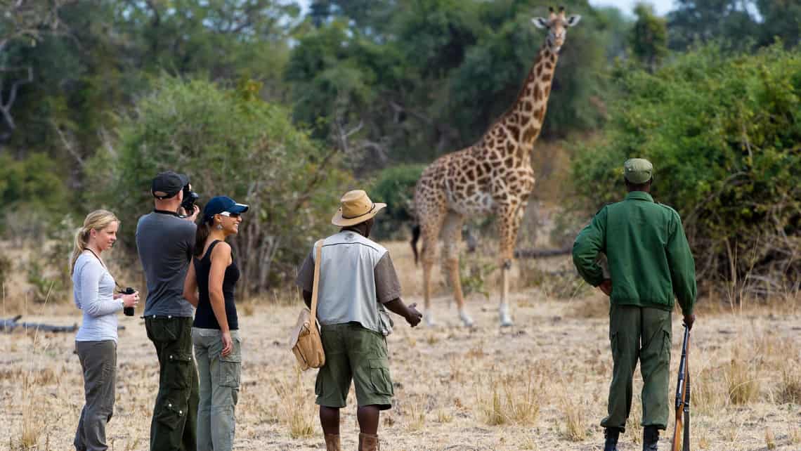 Flatdogs Camp, Lower Zambezi Sambia