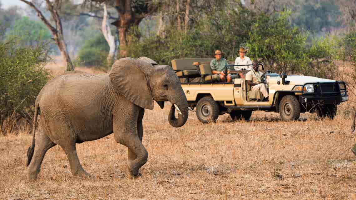 Nsefu Camp, South Luangwa Sambia