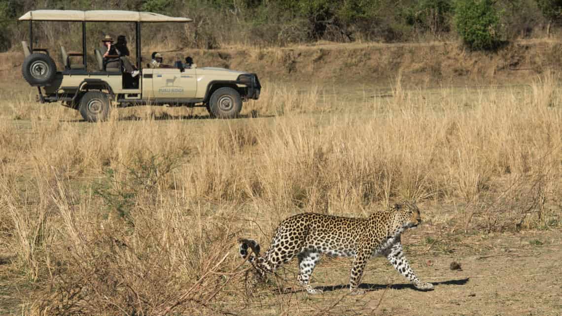 Chiawa Camp, Lower Zambezi Sambia